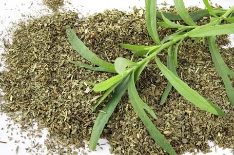 تصویر 5 از فروش ویژه اینترنتی سبزی ترخون خشک + قیمت عادلانه